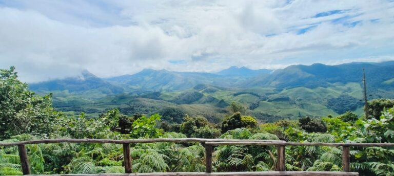 Eravikulam National Park